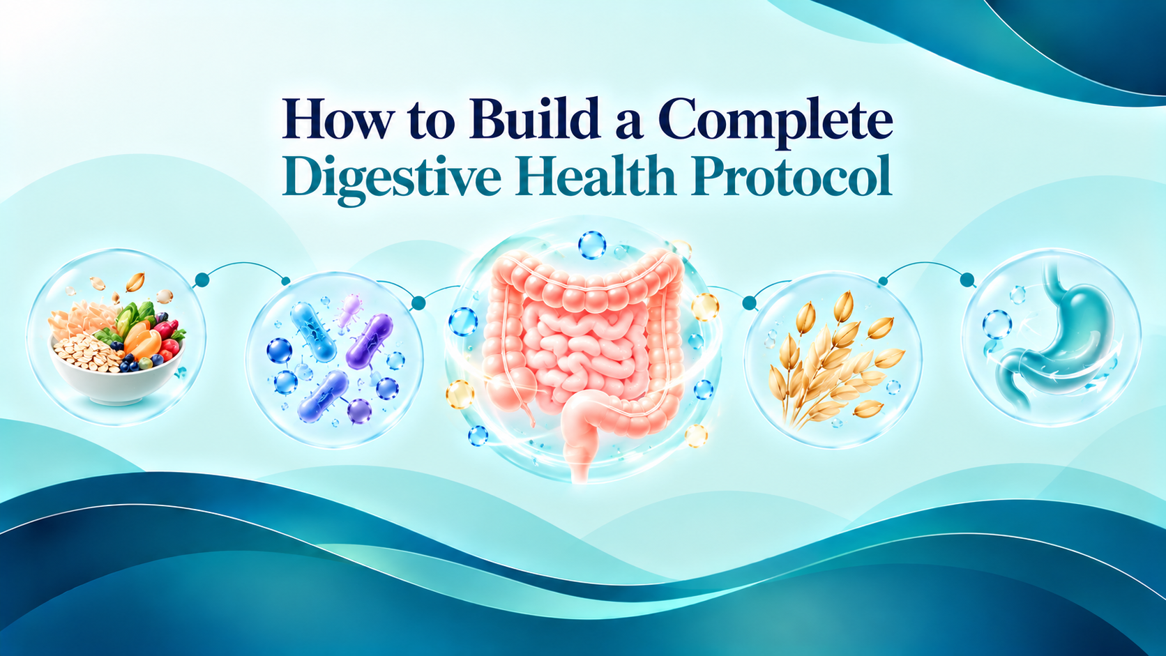 Digestive health protocol featuring probiotics, prebiotic foods, fermented yogurt, hydration and daily gut health habits